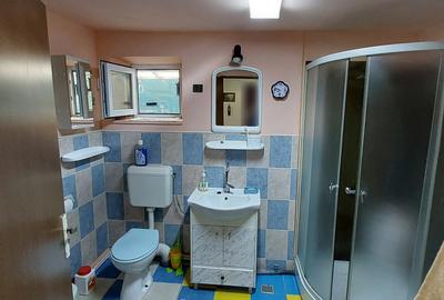 Casa langa bucuresti la sosea 1600mp  100 metri de DN6/E7 30km de pta. unirii - 15