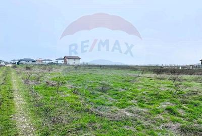 Teren Intravilan 519mp, P+1E+M, zona in dezvoltare - Vidra, Ilfov - 5