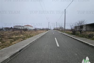 TEREN INTRAVILAN 1000 MP COSTINESTI - 6
