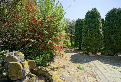 VILA CU PISCINA SCROVISTEA, IDEALA CAMIN DE BATRANI - 12