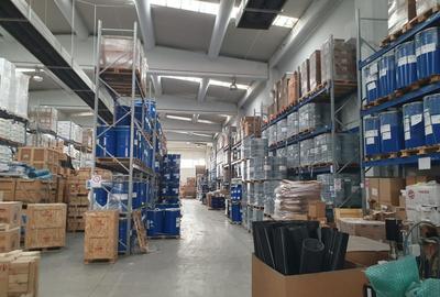 Spațiu industrial, în Șagului