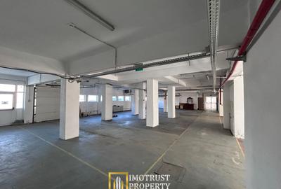 Hală Industrială de inchiriat – Lipova, Județul Arad - 8