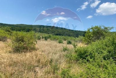 Teren Intravilan | Investitie | Baciu | Comision 0% - 2