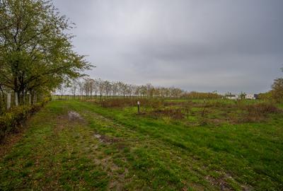 Teren intravilan de vânzare | Cartier rezidențial deosebit | Afumați - 8