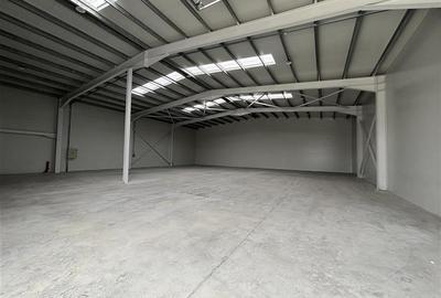 Inchiriere depozit/hala/spatiu industrial Chiajna - Chitila - Rudeni - 4