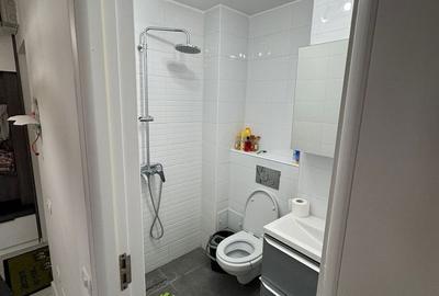 Apartament 3 camere, decomandat, complet renovat,cu terasă, confort 0, 169500 eu - 15
