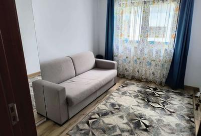 Casa individuala spatioasa, cu teren, Sura Mica - 10