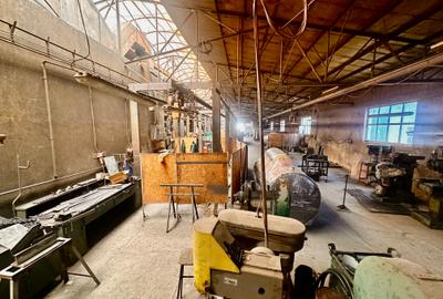 Hala de vânzare, Sacele, Brasov- COMISION 0% CUMPARATOR - 4