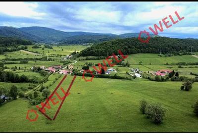 Teren extravilan de vânzare în Barcani, sat Sărămaș! - 3