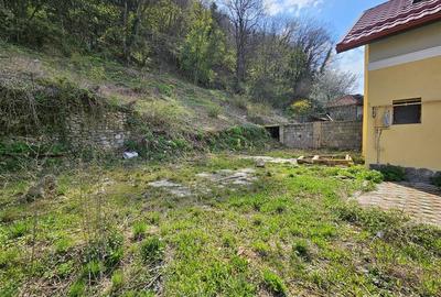 Teren Intravilan Dobrogeanu Gherea - 4