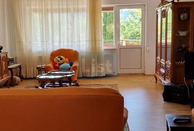 Vila spațioasă 5 dormitoare, Provita de Jos - 7