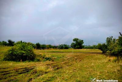 Oportunitate de investitie! Teren extravilan, Lomb! - 1