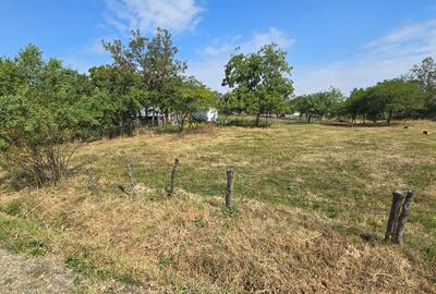 Terenuri in Cucorani - 2