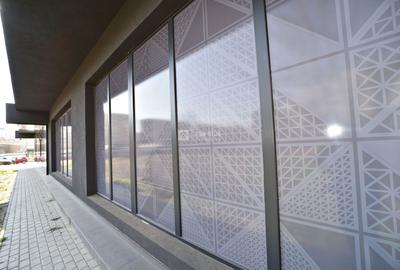 Alexandru cel Bun, spatiu excelent pozitionat, S+P, 800mp construiti - 14