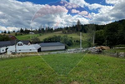 Teren 4397 mp Intravilan  Manastirea Humorului / Lunga Bucovina - 19