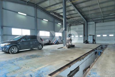 Proprietate industrială cu vizibilitate DN13 – Hală, birouri și teren 6.250 mp - 9