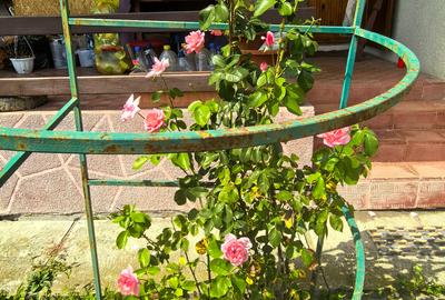 Casa Breaza , zona centrala , 500mp teren drept ,toate utilitatile - 20