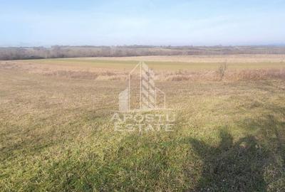 TEREN AGRICOL 1,524 HA, LA DOAR 10.000€ Comision Zero % - 2