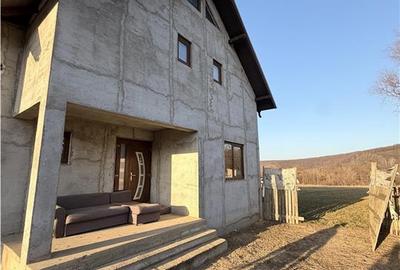 Vilă în Pătrăuți + 8400mp teren - 15