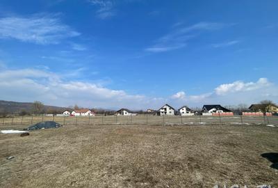 Teren Construcții intravilan de 867 mp, în Turcinești