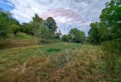 Teren construibil de vânzare 990mp în Barzava, județul Arad - 3