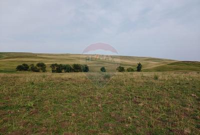 Teren parțial intravilan-300000mp Stroiești-Trei Movile, Suceava - 20
