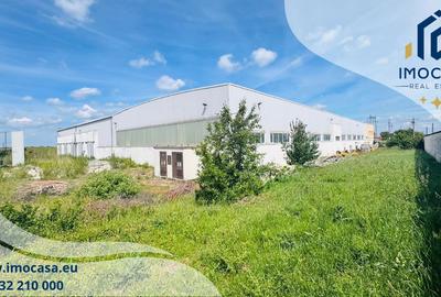 Hala industrială la cheie 2760mp teren 13.000mp, Fântânele Jud. Arad - 13