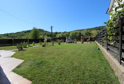 Vila zona Tomesti-Trei Fantani - 2
