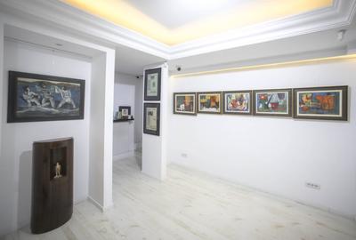 SPATIU COMERCIAL IDEAL PENTRU INVESTITIE ZONA CENTRALA Maria Rosetti - Dacia - 3