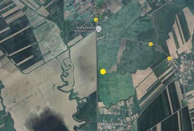 Teren agricol 64 ha, 800 m deschidere - 1