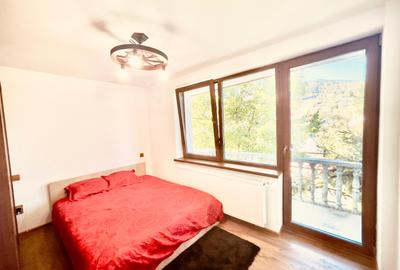 Casa cu 7 camere, Neamt Com Alexandru cel Bun - Viisoara cod 157192 - 7