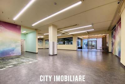 Spatiu comercial 250 mp + terasa 70 mp, Grigorescu, Parter, Ideal HoReCa   Showr - 13