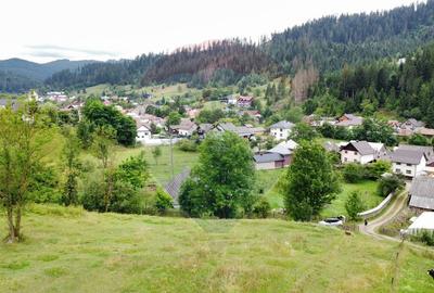 Teren 6,865mp Voroneț / Gura Humorului / Bucovina - 4