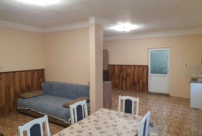 Casă P+M cu teren 744 mp în Dumbrava (Timiș) – Zonă excelentă, vizavi de facilit - 4