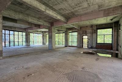 REC3001458 Stefen cel Mare l Spatiu comercial l 1450 mp - 6