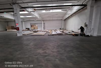 Spatiu Industrial - 4500 mp - Productie - Depozitare - Distributie - 7