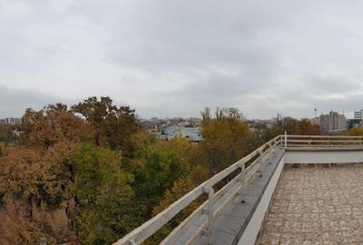 Vanzare apartament penthouse Gradina Icoanei - 6