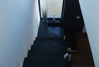 Vanzare/inchiriere duplex Trivale, mobilat, teren 300mp - 17