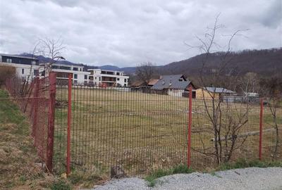 Teren intravilan in Sovata (str. Turturelelor) - 4