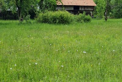 Teren splendid Vaduri cu utilitati si vecini de calitate - 1