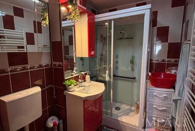 Apartament cu 2 camere decomandat-Parcul Tineretului - 11