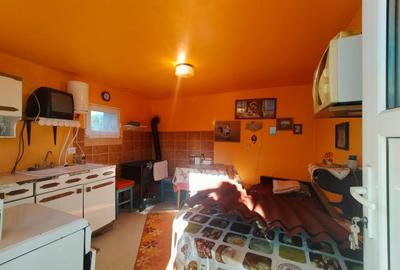 Casa de vanzare/schimb in Panticeu cu gradina mare - 13