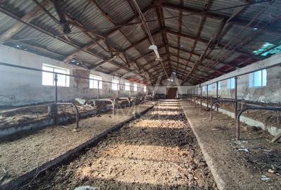 Ferma complet echipata de vanzare – zona Agnita, judetul Sibiu - 11