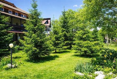 Locatie cu patru anotimpuri intr- o zi, incadrata de 2.350 teren, Bran - Fundata - 7