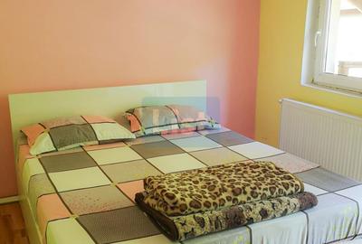 Casa de vacanta perfecta pe malul Cernei - 10
