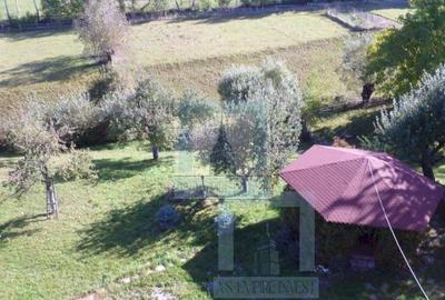 Pensiune 17 camere - zona Bran - 13