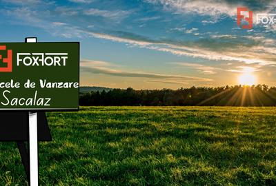 Teren intravilan in Sacalaz - Oportunitate de investitie - 1