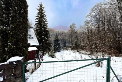 Teren 1,794mp Moroeni / Strada Lespezi - 1