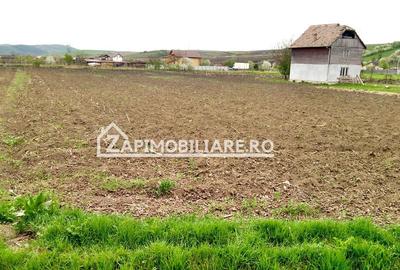 Teren 5800 mp,150m de Aeroport deschidere 58m la E60,20 euro - 7