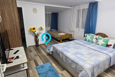 Casa de vacanta | Investitie | zona montana - padure | Arges | Leresti - 12